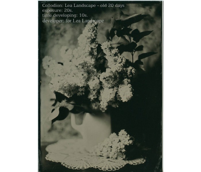 Collodion test Lea Landscape versus Ambrotype